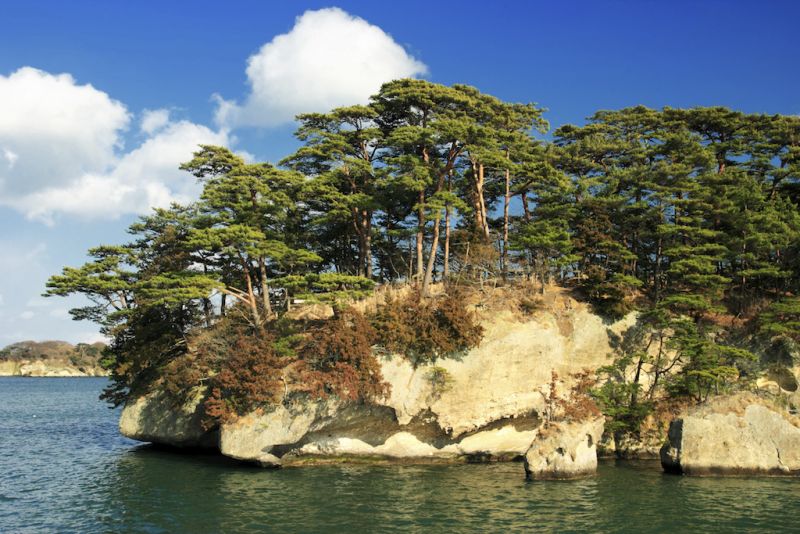 đảo thông ở vịnh matsushima