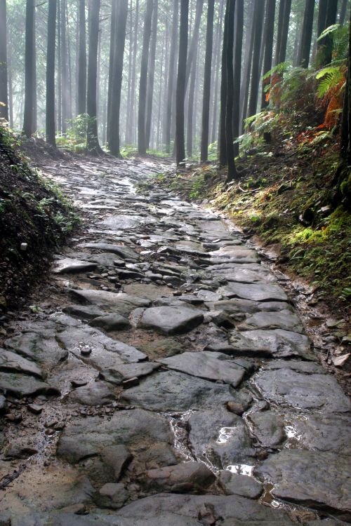 con đường hành hương kumano kodo con đường hành hương kumano kodo