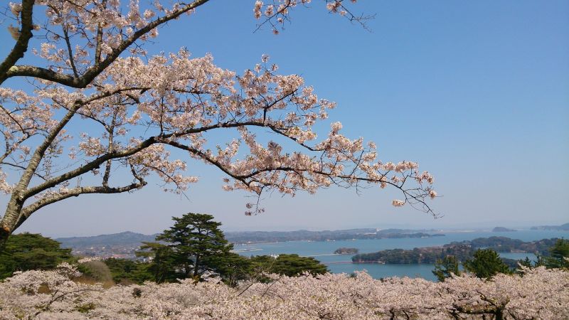 vịnh Matsushima