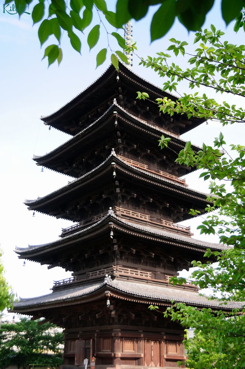 Tháp 5 tầng của chùa Toji - Tháp chùa gỗ cao nhất Nhật Bản