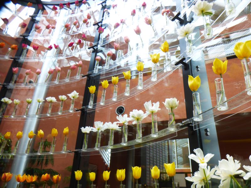 Tulip Place Tulip Place