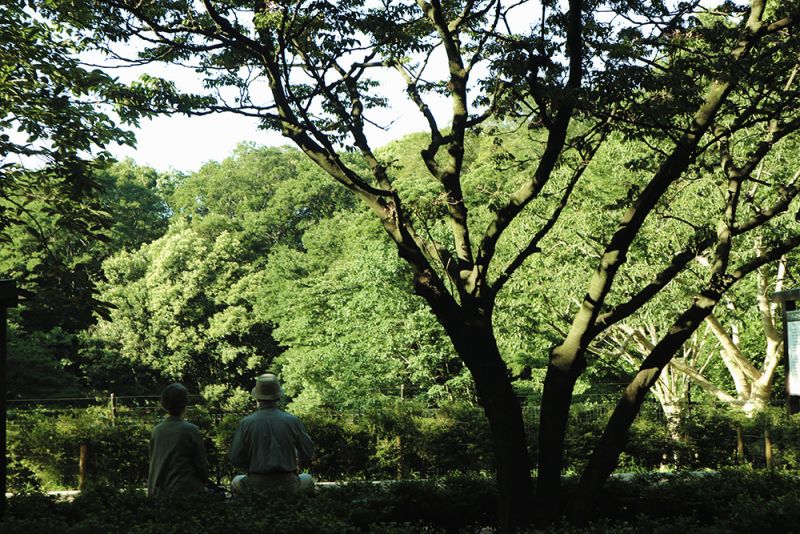 công viên thư giãn cuối tuần ở Tokyo công viên thư giãn cuối tuần ở Tokyo