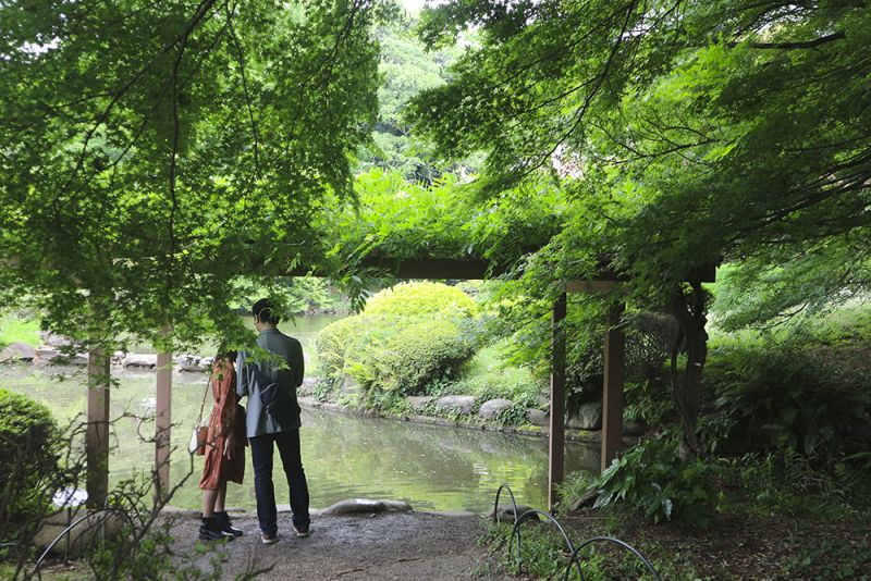 Công viên Shinjuku Gyoen Công viên Shinjuku Gyoen