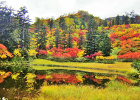 Sounkyo – Ngắm lá đỏ giữa những tầng mây