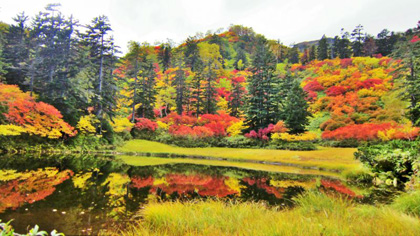 Sounkyo – Ngắm lá đỏ giữa những tầng mây