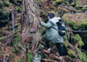 Lan Uyên: Một mình khám phá khu rừng tự sát ở Nhật Bản