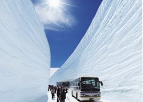 Vui chơi bốn mùa ở Toyama Nhật Bản