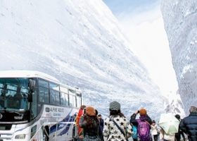Vui chơi với tuyết giữa mùa hè