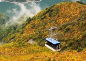 Thưởng trọn 4 mùa ở Tateyama Kurobe & Tonami