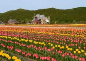 Mombetsu, những bất ngờ kì thú ở vùng biển Bắc