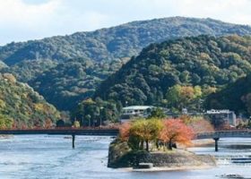 Một ngày ăn-chơi – trải nghiệm khắp xứ sở trà xanh Uji