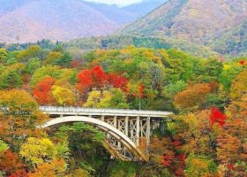 Fukushima – Yêu lại từ đầu