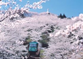 Sendai, một Nhật Bản hoàn toàn mới lạ