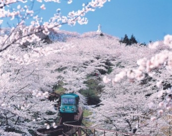 Sendai, một Nhật Bản hoàn toàn mới lạ