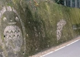 Gặp gỡ nhân vật Ghibli phiên bản rêu ngoài đời thực