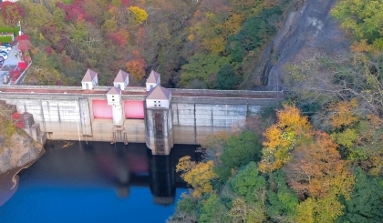 Phải lòng “nàng thu” ở Ibaraki