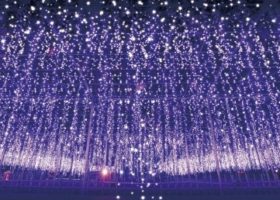 Lung linh “Vườn hoa ánh sáng” ở Tochigi