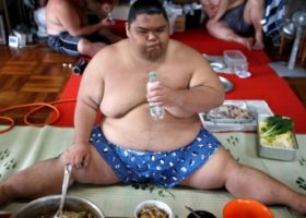 Bất ngờ về cuộc sống cực khổ của võ sĩ sumo