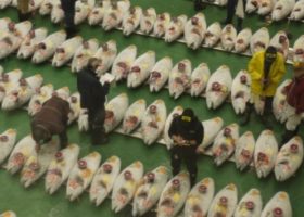 Khám phá chợ cá Toyosu mới toanh ở Tokyo