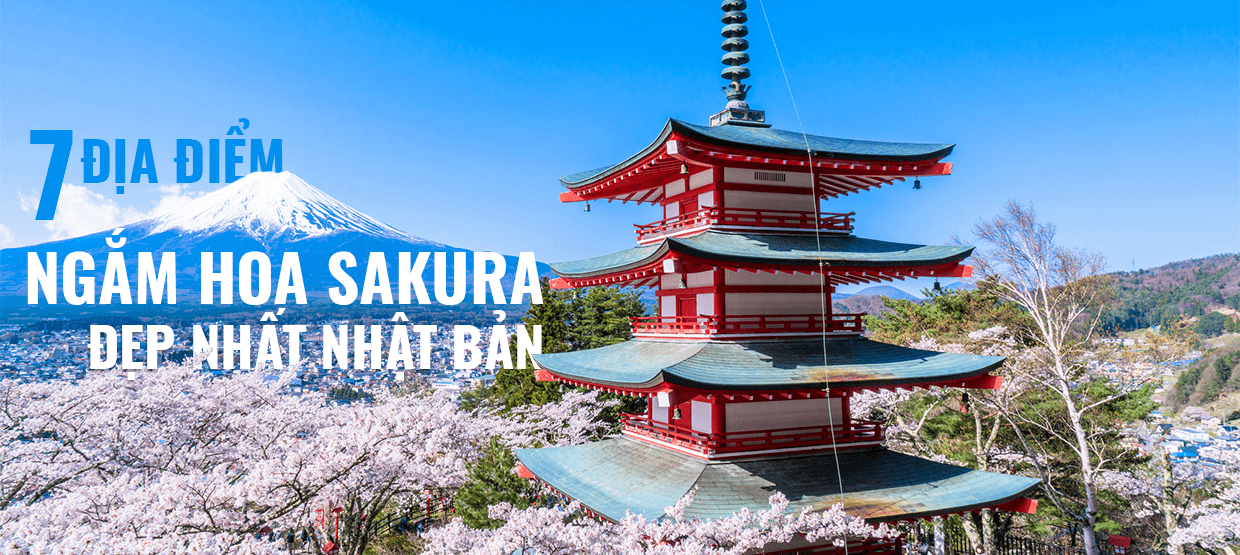7 ĐIỂM NGẮM HOA SAKURA ĐẸP NHẤT NHẬT BẢN