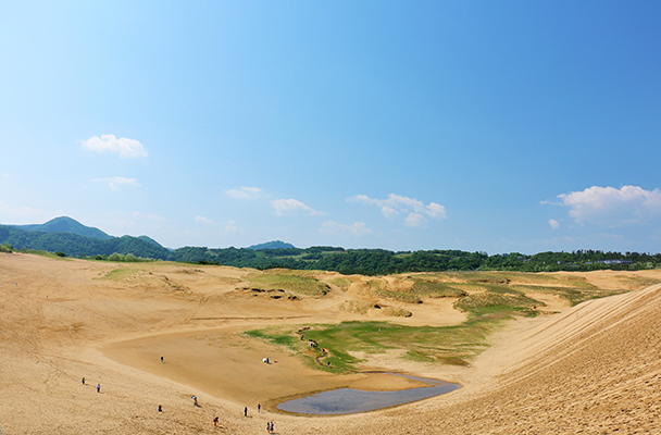 Đồi cát Tottori