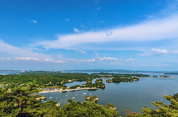 Vịnh Matsushima