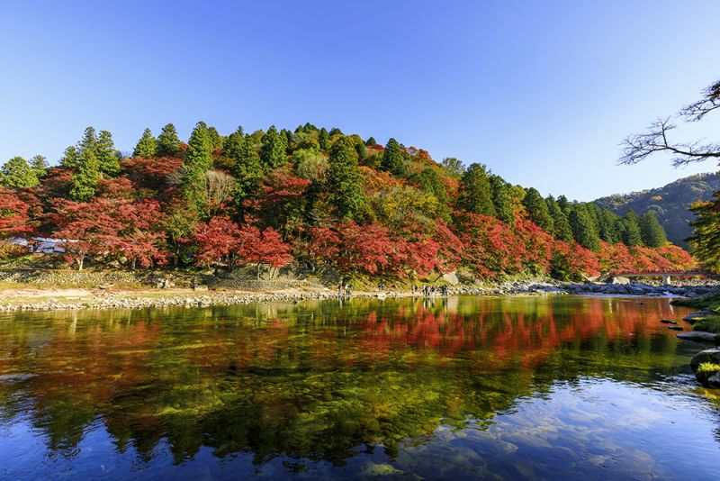 hẻm núi Korankei mùa lá đỏ